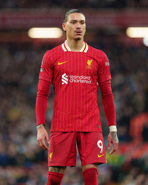 丹的24号 丹的24号