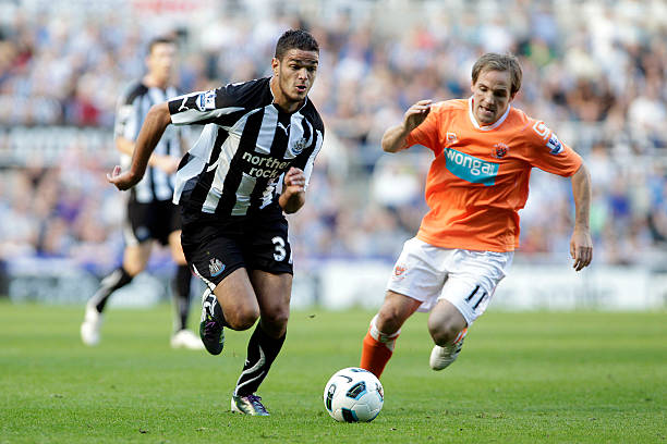 无疑正在为 无疑正在为